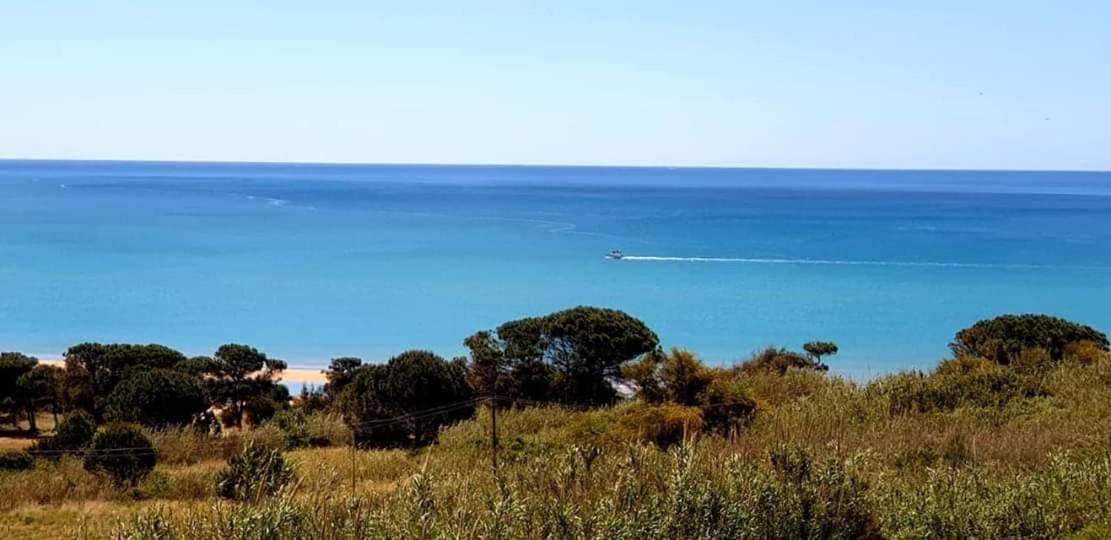 Il Canneto Di Selinunte Marinella di Selinunte Exterior foto