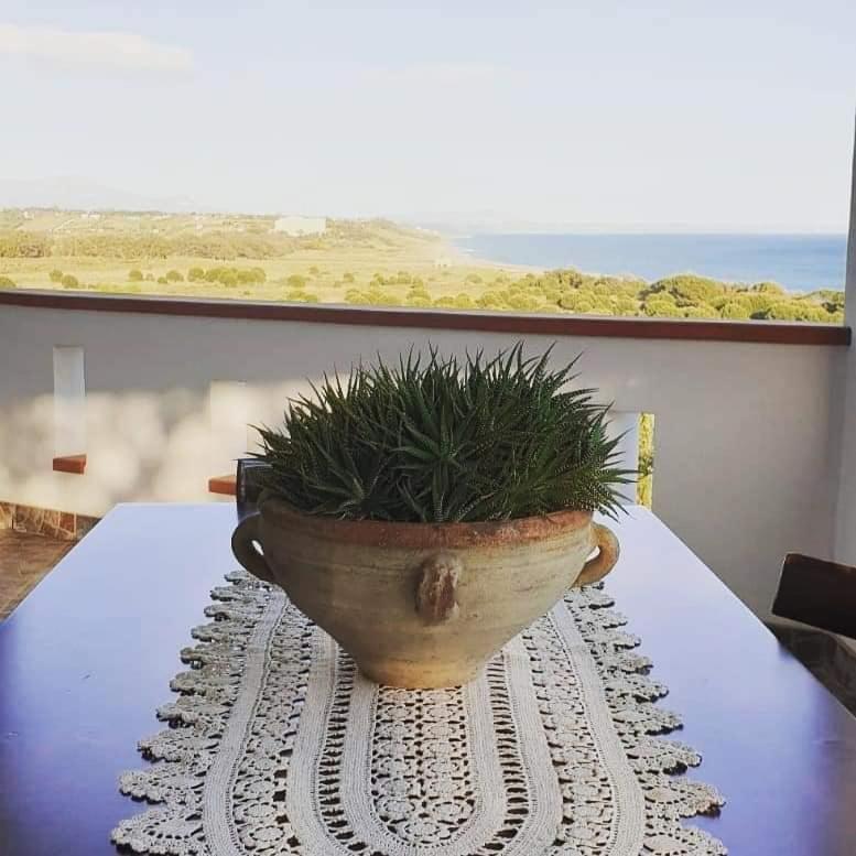 Il Canneto Di Selinunte Marinella di Selinunte Exterior foto